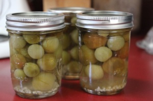 canning green tomatoes