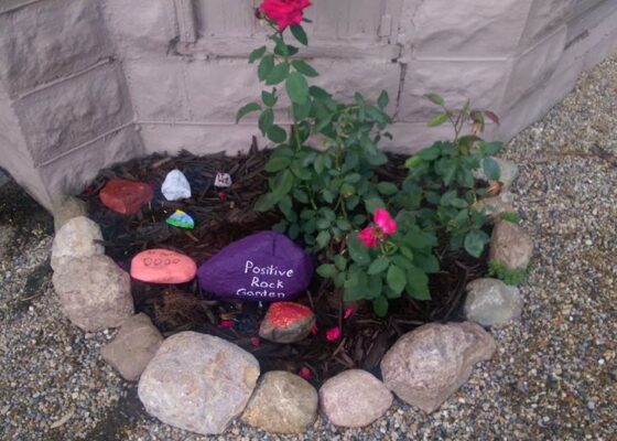 Positive Rock Garden