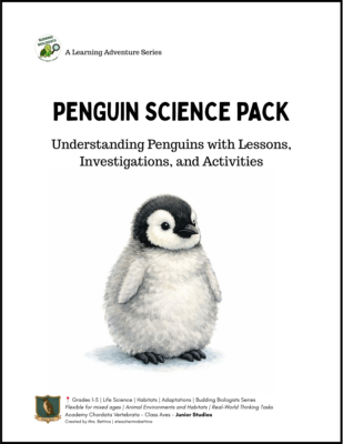 Penguin Science Activities for kids
