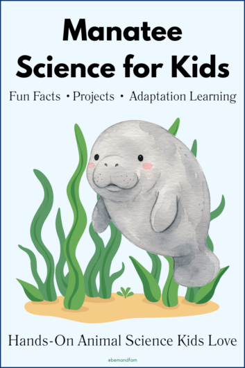 manatee science activities for kids
