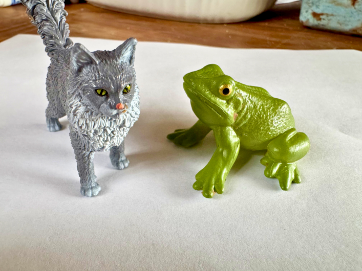 frog science activities for kids