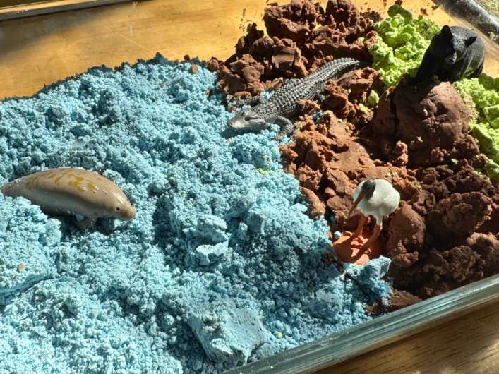 manatee science activities for kids