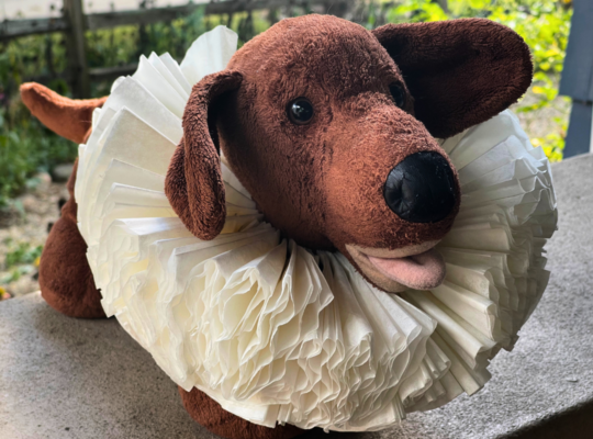 Shakespearean Ruff