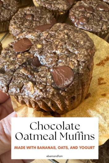 chocolate oat muffins