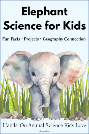 elephant activities for kids
