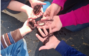 earth day activities for kids