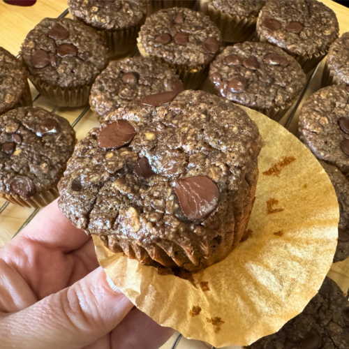 chocolate oat muffins