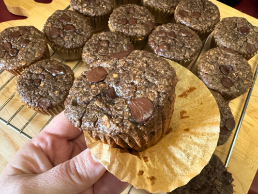 chocolate oat muffins